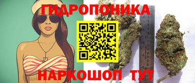 СК Лесосибирск
