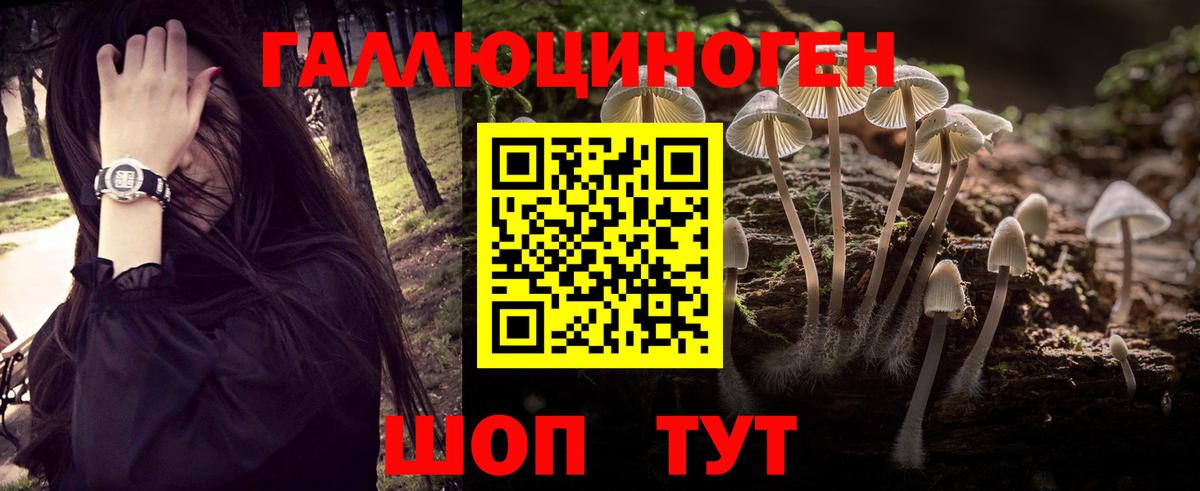 Псилоцибиновые грибы прущие грибы Ефремов