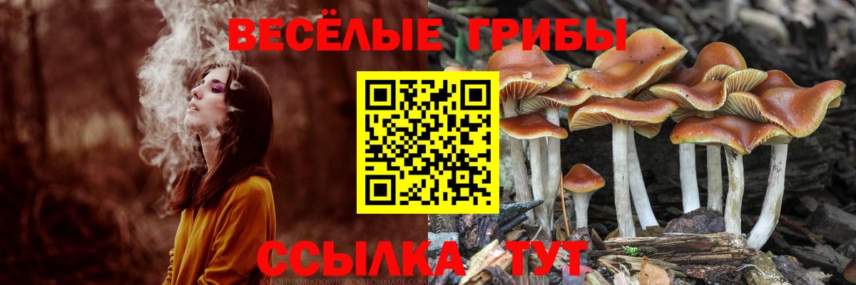 Ефремов  Псилоцибиновые грибы MAGIC MUSHROOMS  Псилоцибиновые грибы мухоморы  Вход с VPN 
